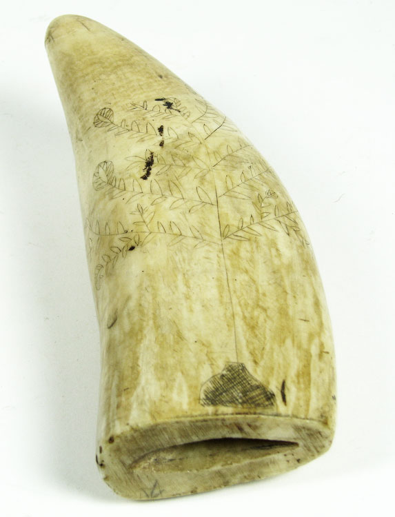 167B-1.jpg